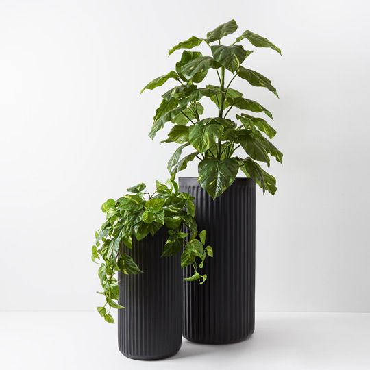 1 x Pot Pleat Cylinder Tall (set/2)