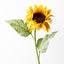 12 x Sunflower