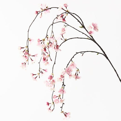 12 x Blossom Cherry Hanging