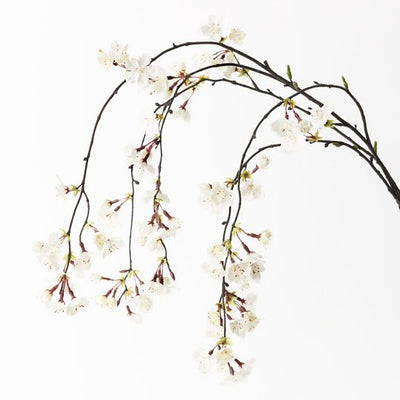 12 x Blossom Cherry Hanging