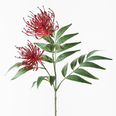 12 x Grevillea Spray