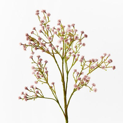 12 x Babys Breath Spray