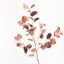 Eucalyptus Spray (Set of 12)