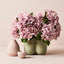 Hydrangea Bush (Set of 12)