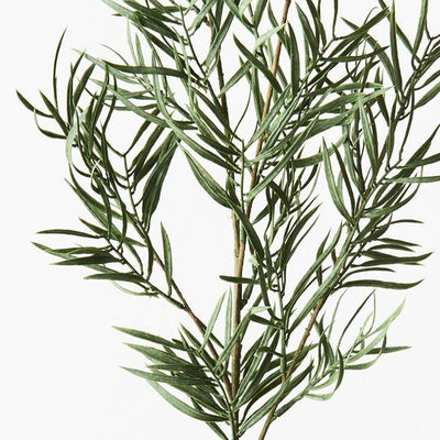 12 x Grevillea Leaf Spray