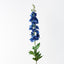 12 x Delphinium