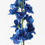 12 x Delphinium