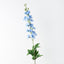 12 x Delphinium