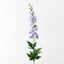12 x Delphinium