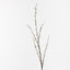 12 x Pussy Willow Spray