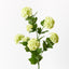Snowball Spray (Set of 12)