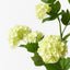 Snowball Spray (Set of 12)