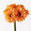 6 x Gerbera Bouquet