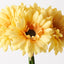 6 x Gerbera Bouquet