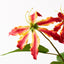 12 x Lily Gloriosa Spray