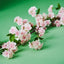 6 x Blossom Cherry Garland