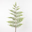 4 x Fern Frond