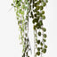 12 x Fern Button Hanging Bush