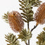 12 x Banksia Spray