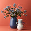 24 x Astrantia Spray