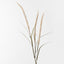 12 x Fountain Grass Spray