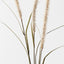 12 x Fountain Grass Spray