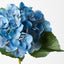 12 x Hydrangea