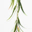 12 x Eucalyptus Long Leaf Garland