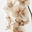 12 x Orchid Phalaenopsis Infused x8