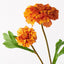 12 x Marigold Spray