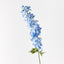 12 x Delphinium
