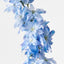 12 x Delphinium