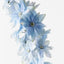 12 x Delphinium