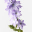 12 x Delphinium