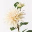 12 x Dahlia Spray