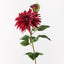 12 x Dahlia Spray