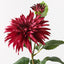12 x Dahlia Spray