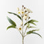 12 x Eucalyptus Flowering Spray