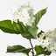 12 x Hydrangea Spray