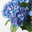 12 x Hydrangea Bush
