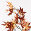 12 x Japanese Maple Leaf Spray