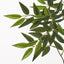 24 x Ruscus Leaf Spray