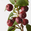 12 x Crabapple Spray