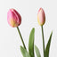 12 x Tulip Bud & Bloom (set/2)