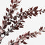 Myrtle Leaf Spray (Set of 12)