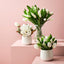 Tulip Mix in Vase