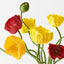 Poppy Mix in Vase