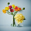 Poppy Mix in Vase