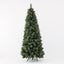 Alaskan Pine Tree