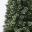 Alaskan Pine Tree
